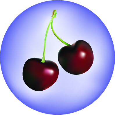 Graphic Illustration of Cherries done by Peachy Impressions